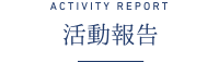 activity report 